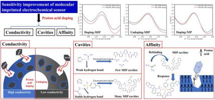 Mechanism of high sensitivity proton acids doped polypyrrole molecularly imprinted electrochemical sensor and its application in urea detection