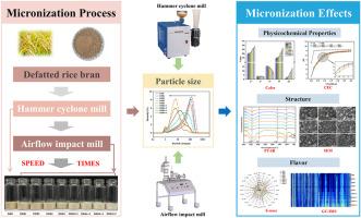 Effect of airflow impact milling on the physicochemical properties, microstructure, and flavor of defatted rice bran