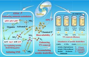 Coordination of elemental sulfur and organic carbon source stimulates simultaneous nitrification and denitrification toward low C/N ratio wastewater