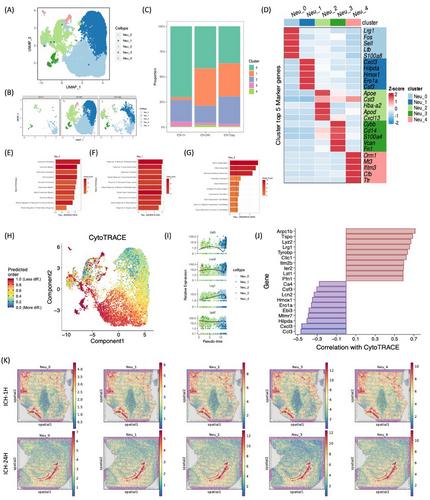 Unraveling dynamic immunological landscapes in intracerebral hemorrhage: insights from single-cell and spatial transcriptomic profiling