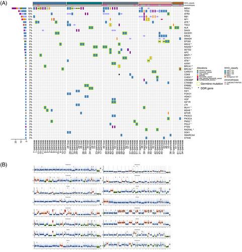 Chromothripsis is a novel biomarker for prognosis and differentiation diagnosis of pancreatic neuroendocrine neoplasms