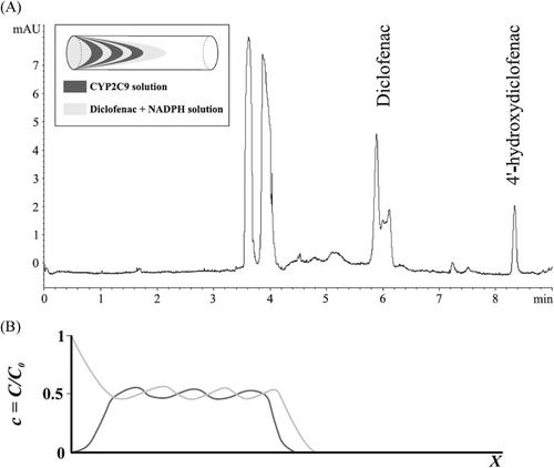 Atypical applications of transverse diffusion of laminar flow profiles methodology for in-capillary reactions in capillary electrophoresis