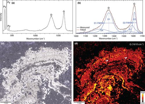 Pyritic stromatolites from the Paleoarchean Dresser Formation, Pilbara Craton: Resolving biogenicity and hydrothermally influenced ecosystem dynamics