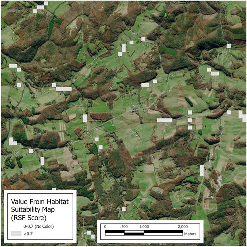 A hydrologic and land cover-based habitat model for use in bog turtle (Glyptemys muhlenbergii) conservation