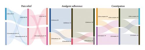 Cancer Outpatients’ Self-Reported Pain Relief, Analgesic Adherence, and Constipation during Follow-Up Support: A Prospective, Longitudinal Study