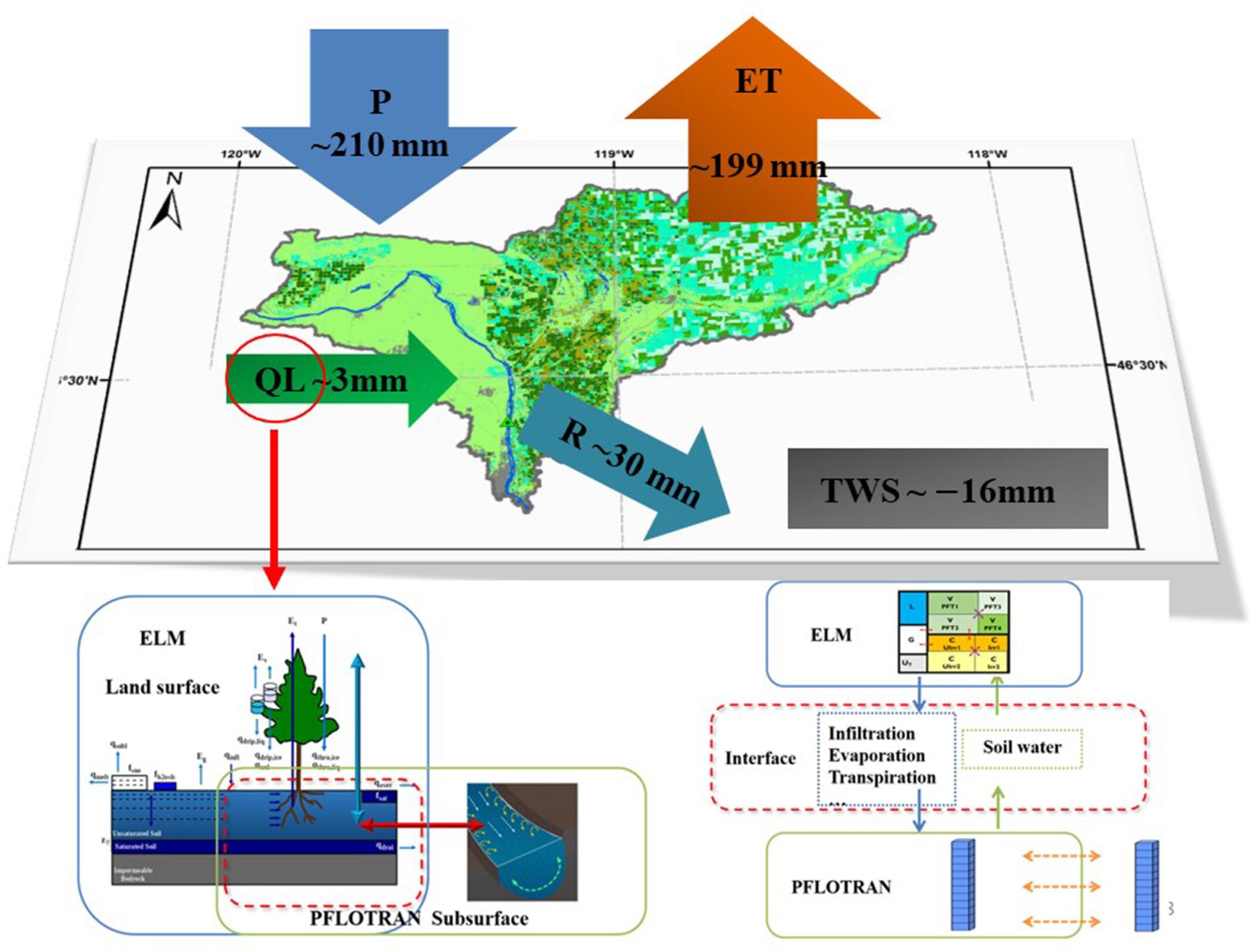 River–aquifer interactions enhancing evapotranspiration in a semiarid riparian zone: A modelling study