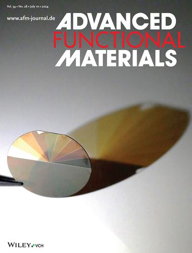 Dichroic Engineering from Invisible to Full Colors Using Plasmonics (Adv. Funct. Mater. 28/2024)