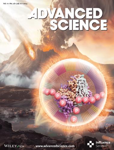 Structural Evolution of Bacterial Polyphosphate Degradation Enzyme for Phosphorus Cycling (Adv. Sci. 26/2024)