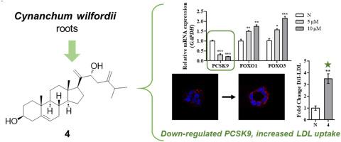 Chemical constituents from the roots of Cynanchum wilfordii with PCSK9 secretion inhibitory activities