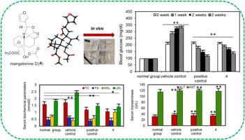 Structurally diverse diterpenoids from the leaves of Croton mangelong and their anti-diabetic activity