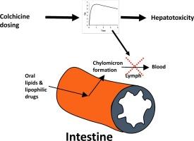 Evaluation of the pharmacokinetics, chylomicron inhibition, and toxicity of colchicine in rats given low doses