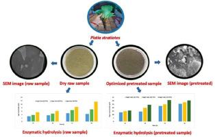 Enhancement in sugar extraction from Pistia stratiotes through statistical optimization of alkaline pre-treatment and enzymatic hydrolysis