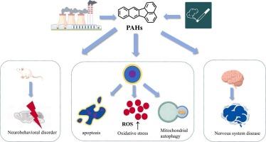 PAHs as environmental pollutants and their neurotoxic effects