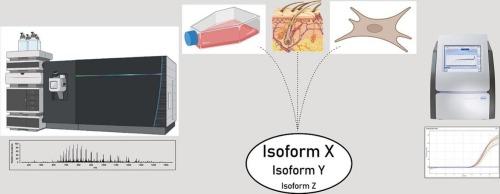 Mapping the Periostin splice isoforms in atopic dermatitis and an in vitro asthma model – A multi-platform analysis using mass spectrometry and RT-qPCR