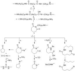 Thermal degradation of polyamide 66 and its model compound