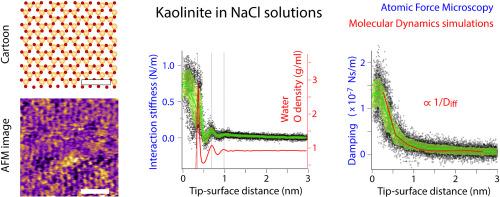 Local probing of the nanoscale hydration landscape of kaolinite basal facets in the presence of ions