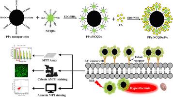 Development of folate-conjugated polypyrrole nanoparticles incorporated with nitrogen-doped carbon quantum dots for targeted bioimaging and photothermal therapy