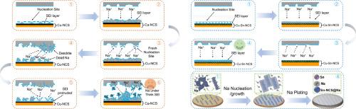 Functional guanine superstructures derived superior sodiophilic porous carbonaceous metamaterial for anodic-sodium-metal-free sodium metal batteries