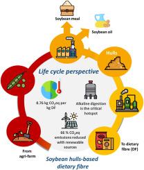 Techno-economic and environmental assessment of dietary fibre extraction from soybean hulls