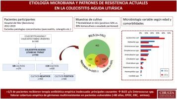 Etiología microbiana y patrones de resistencia actuales en la colecistitis aguda litiásica