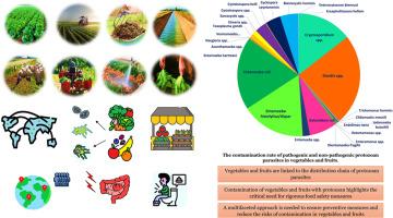 Unveiling risks in healthy food: Vegetables and fruits are linked to the distribution chain of protozoan parasites