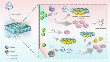 Critical roles of low-molecular-weight organic acid in enhancing hydroxyl radical production by ferrous oxidation on γ-Al2O3 mineral surface