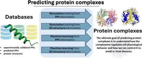 Computational tools to predict context-specific protein complexes