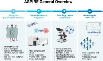 EORTC stomach cancer PD-L1 biomarker European initiative: the ASPIRE study protocol