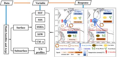 Different mechanisms for enhanced ocean response and feedback during sequential super typhoons