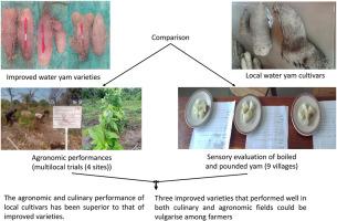 Agronomic performance and consumer acceptability of improved water yam (Dioscorea alata L.) varieties in the Republic of Benin