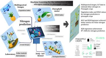 Machine Learning for the estimation of foliar nitrogen content in pineapple crops using multispectral images and Internet of Things (IoT) platforms