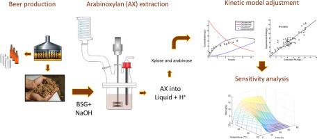 Kinetic modeling of arabinoxylan extraction from Brewers’ spent grain using alkaline pretreatment at atmospheric pressure