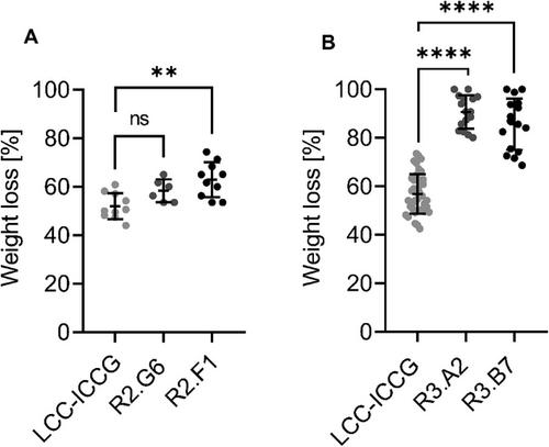 Streamlined screening of extracellularly expressed PETase libraries for improved polyethylene terephthalate degradation