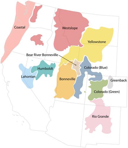 Using de novo transcriptomes to decipher the relationships in cutthroat trout subspecies (Oncorhynchus clarkii)