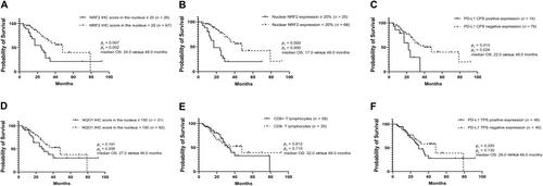 Correlation of PD-L1 expression with CD8+ T cells and oxidative stress-related molecules NRF2 and NQO1 in esophageal squamous cell carcinoma