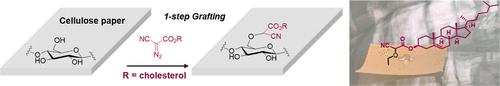 Ultrafast and Sustainable Catalyst-Free Chemical Functionalization of Cellulose Paper with Diazo Compounds-Application to Hydrophobic Materials