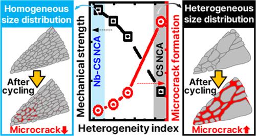 Tailoring Primary Particle Size Distribution to Suppress Microcracks in Ni-Rich Cathodes via Controlled Grain Coarsening