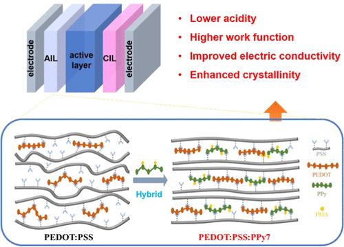 Polypyrrole-Decorated Hybrid Anode Interlayer for Enhancing Efficiency and Stability of Non-Fullerene Solar Cells