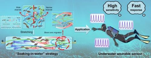 “Soaking-in-water” strategy stimulated starch/poly(vinyl alcohol)-based flexible hydrogel with heterogeneous network for highly sensitive underwater wearable sensor