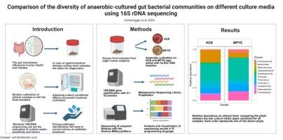 Comparison of the diversity of anaerobic-cultured gut bacterial communities on different culture media using 16S rDNA sequencing