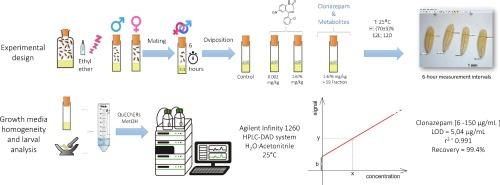 Evaluation of the effect of clonazepam and its metabolites on the life cycle of Megaselia scalaris (Loew) (Diptera: Phoridae)