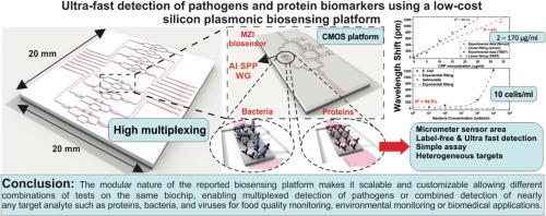 Ultra-fast detection of pathogens and protein biomarkers using a low-cost silicon plasmonic biosensing platform