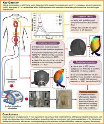 Haemodynamic effects of non-Newtonian fluid blood on the abdominal aorta before and after double tear rupture