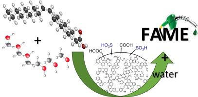 Sugar derived hydrochar catalysts for enhanced biodiesel production via esterification