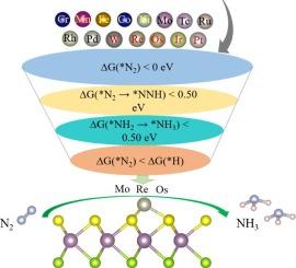 Theoretical screening of single transition-metal atoms anchored Janus MoSSe monolayers as efficient electrocatalysts for nitrogen fixation