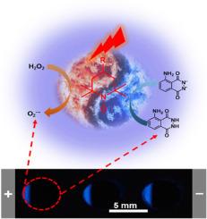 Bright luminol electrochemiluminescence mediated by a simple TEMPO radical for visualized multiplex detection