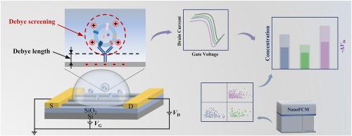 Exosomal membrane proteins analysis using a silicon nanowire field effect transistor biosensor