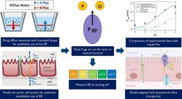 The pH-dependence of efflux ratios determined with bidirectional transport assays across cellular monolayers