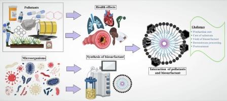 Progress in sustainable remediation: Utilizing biosurfactants for eco-friendly contaminant cleanup