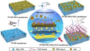 Highly adhesive bioinspired membrane for efficient oil/water separation by optimization of synergistic effects of hierarchical structure and superhydrophobic modification